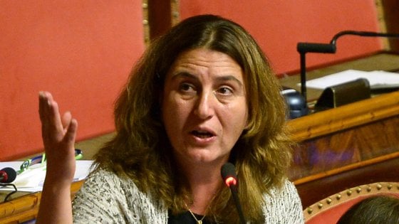 Pensioni ministro nunzia catalfo